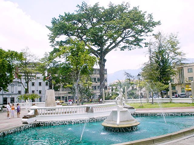 Ibagué