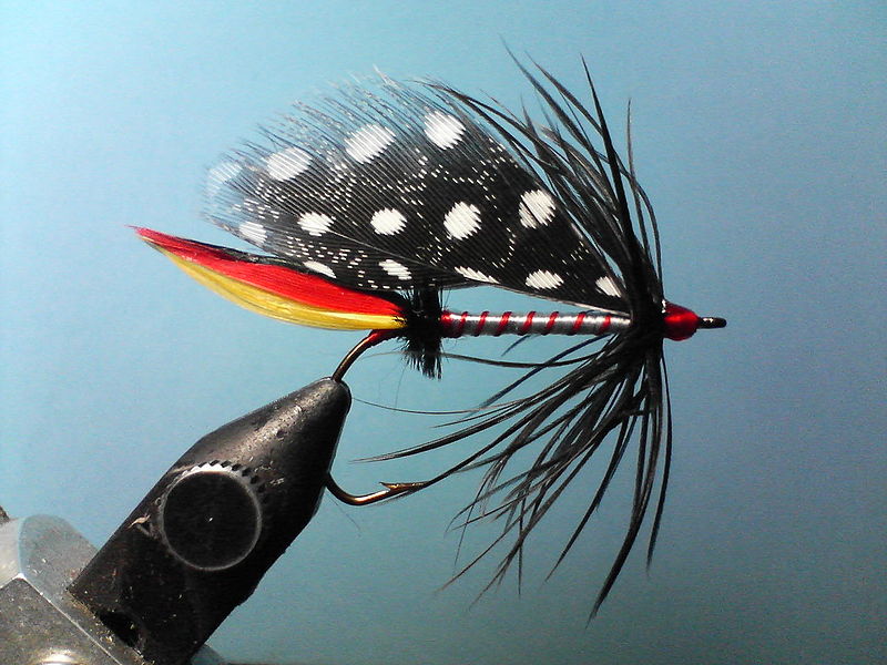 Fly Fishing Casting Guide for Beginners Didin Black