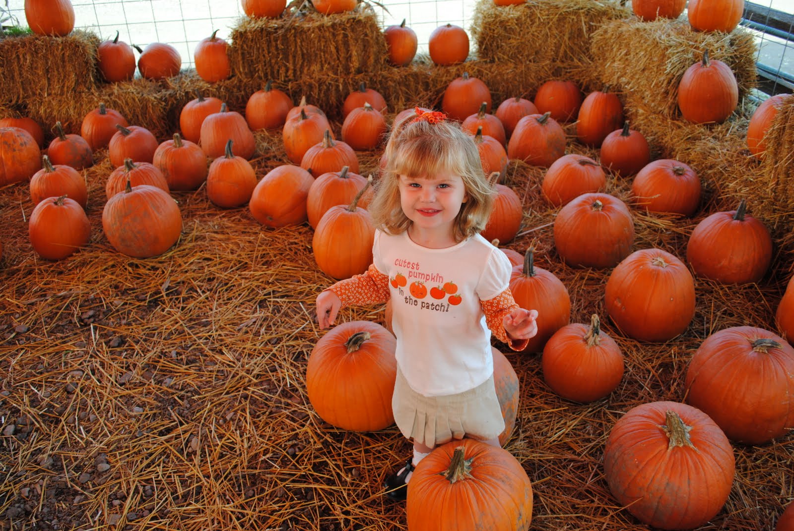 Watch Brooke grow!: Cutest pumpkin in the patch!