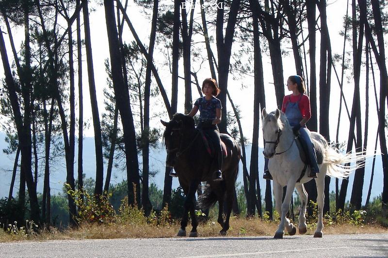 [Antoniopovinho_1361.JPG]