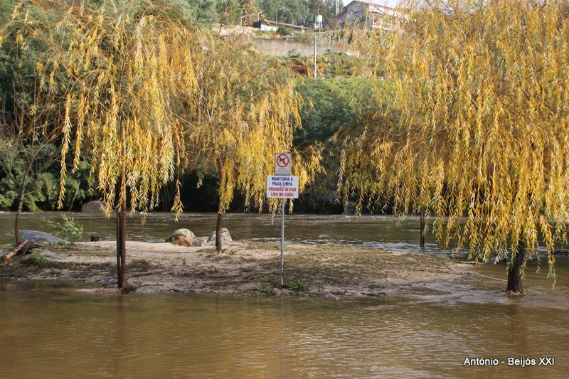 [antoniopovinho_2957.JPG]