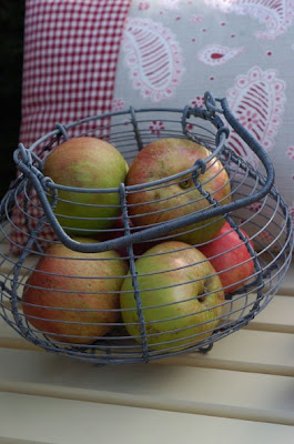 wire fruit / egg basket - with apples
