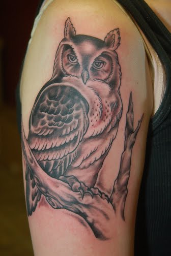 [Owl_tattoo_mn.jpg]