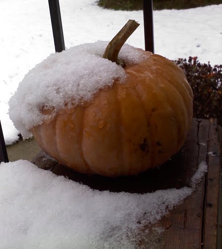 [snowpumpkin.jpg]