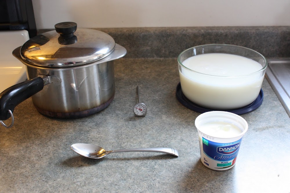 Zaaberry Homemade Yogurt