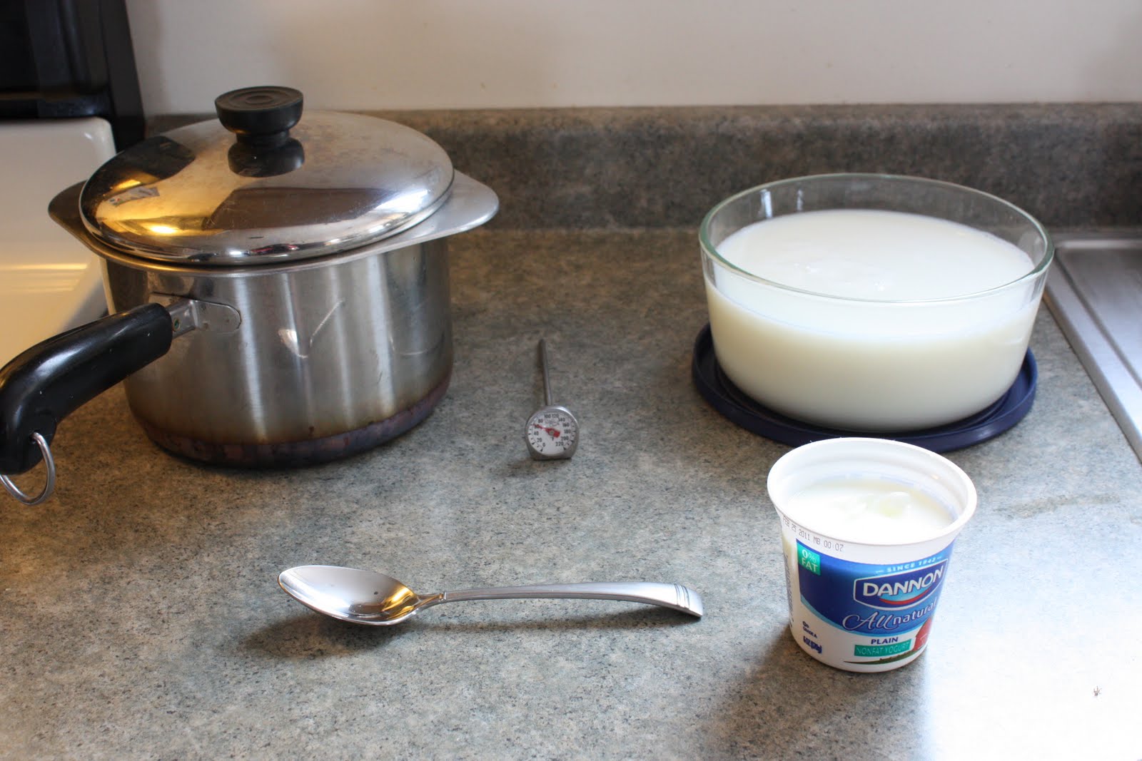 Zaaberry Homemade Yogurt