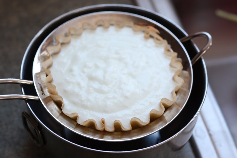 Zaaberry Homemade Yogurt