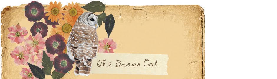 The Brown Owl