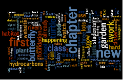Website Wordle