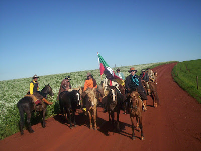 saudades de minha terra