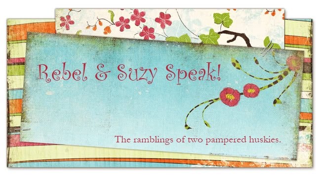 Rebel & Suzy Speak!