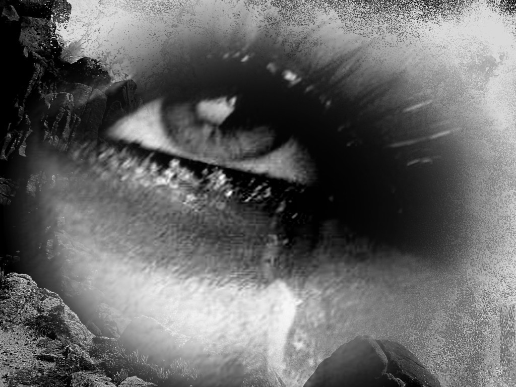 Le Monde d'Amande★★★ L'OMBRE DE MES LARMES
