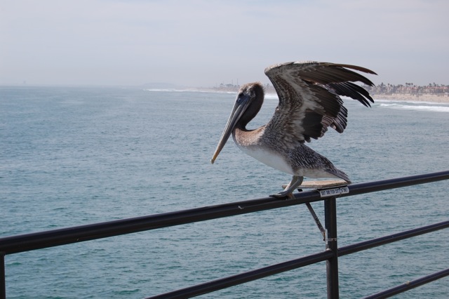 [DSC_0065.jpg]