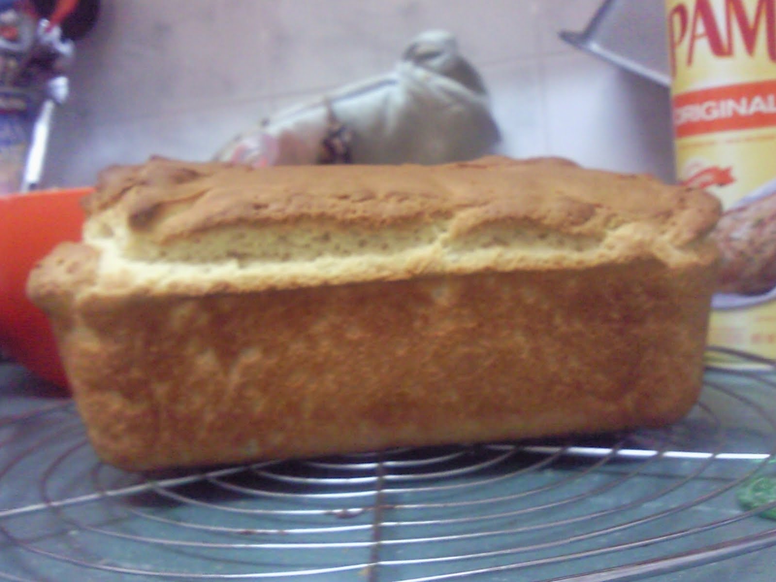 For the Love of Bread KAF's Gluten Free Sandwich Bread