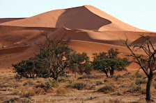 Namibias Wüste