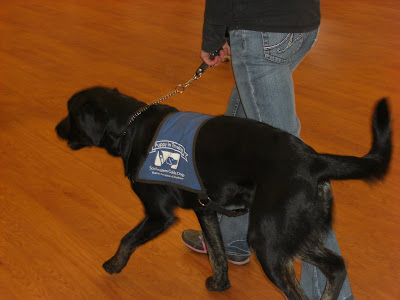 Picture of Rudy & I doing forward during obedience with our group