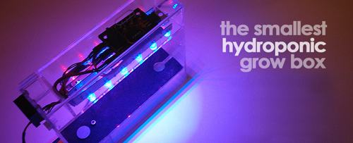 growingCities: Introducing World's Smallest Hydroponic Grow Box