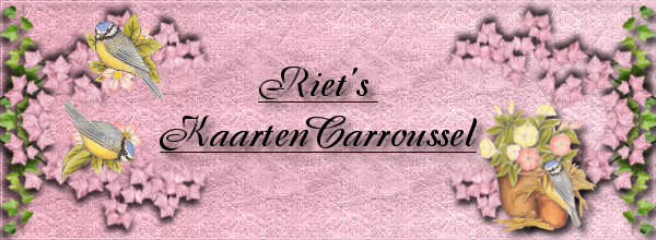 Riet's KaartenCarroussel