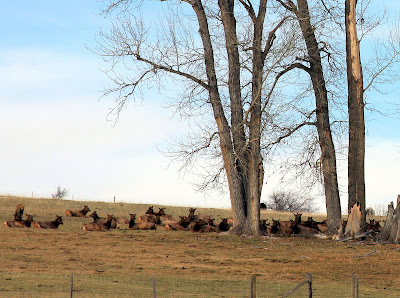 2008 Hunting season, warm weather makes for nice walking but difficult stalking