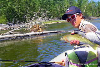 Father and son fished the Bitteroot – Greg and Kris came from Canada to the Bitterroot River