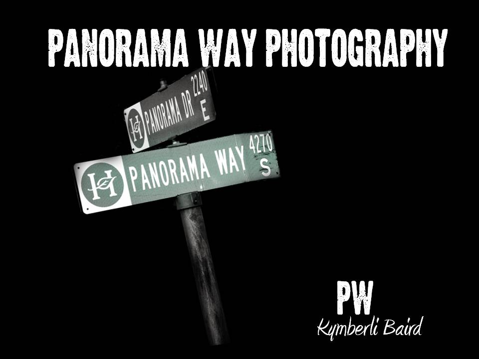 Panorama Way Photography