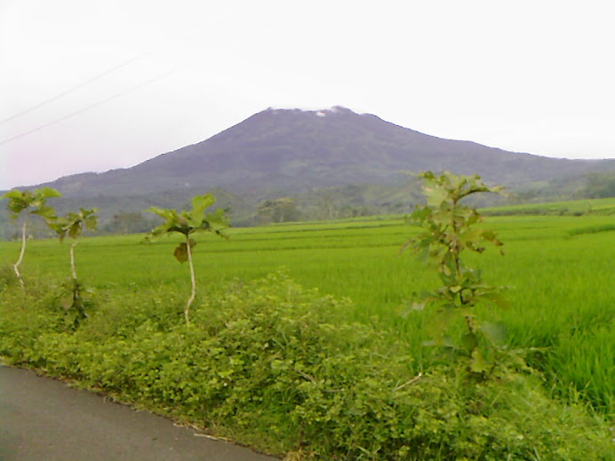 Gunung Lawu