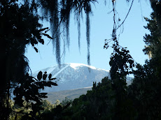 A final view of Mt. Kilimanjaro