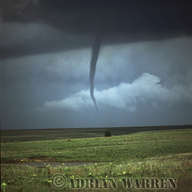 [tornado.aAW_Storms_USA91.jpg]