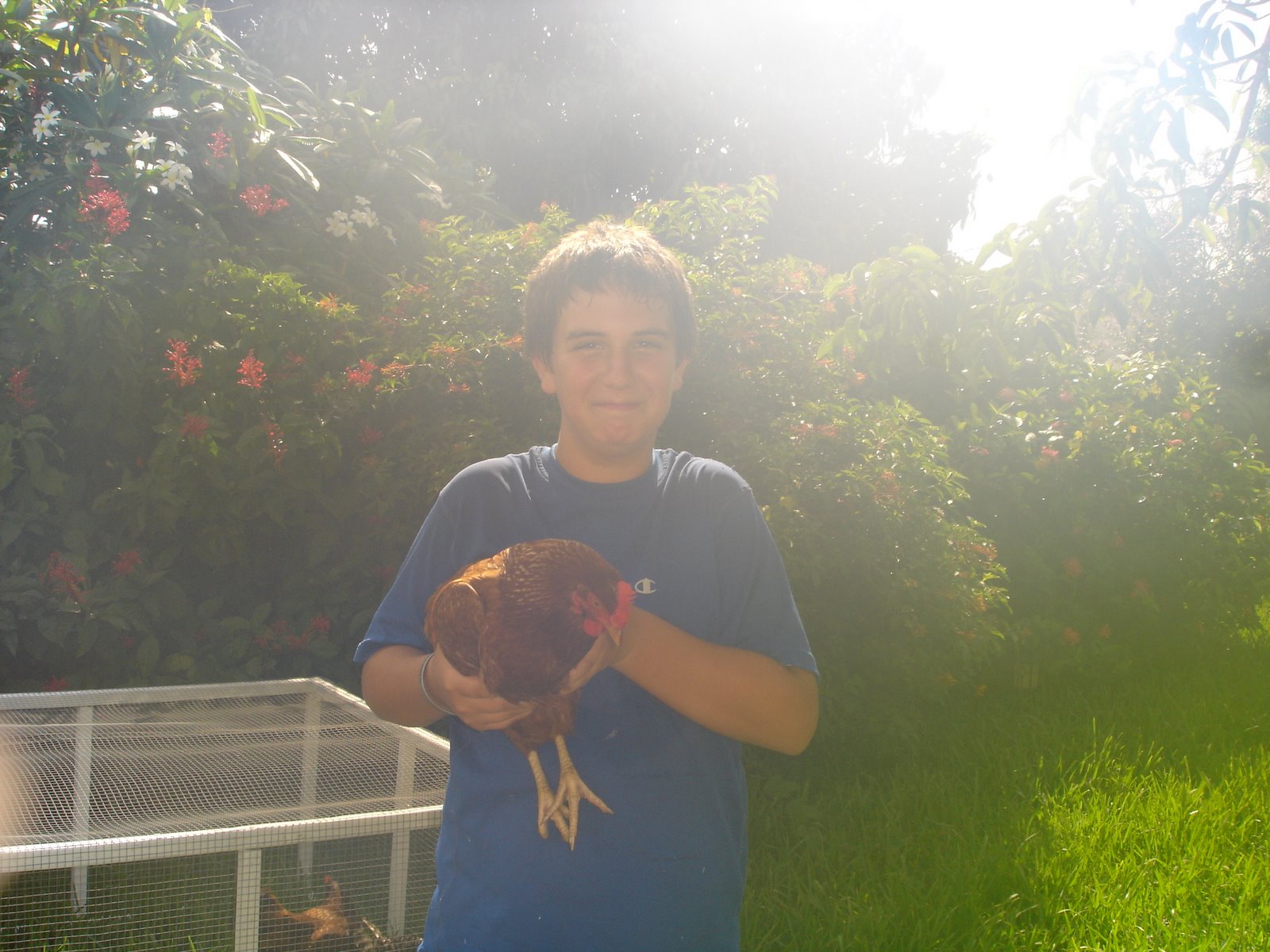 [Bailey+with+Chicken.jpg]