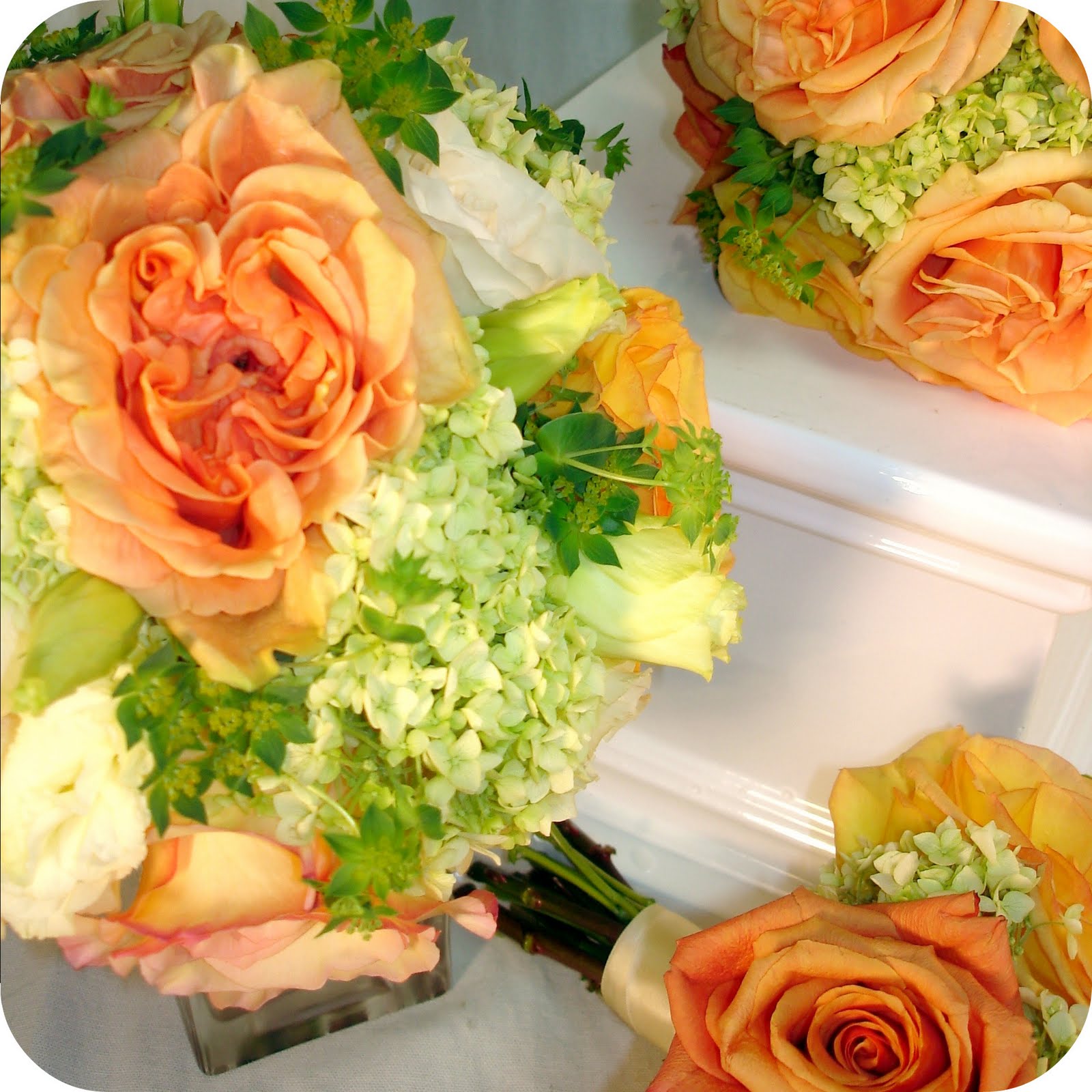 [Vivian+and+Dusty+2.jpg]