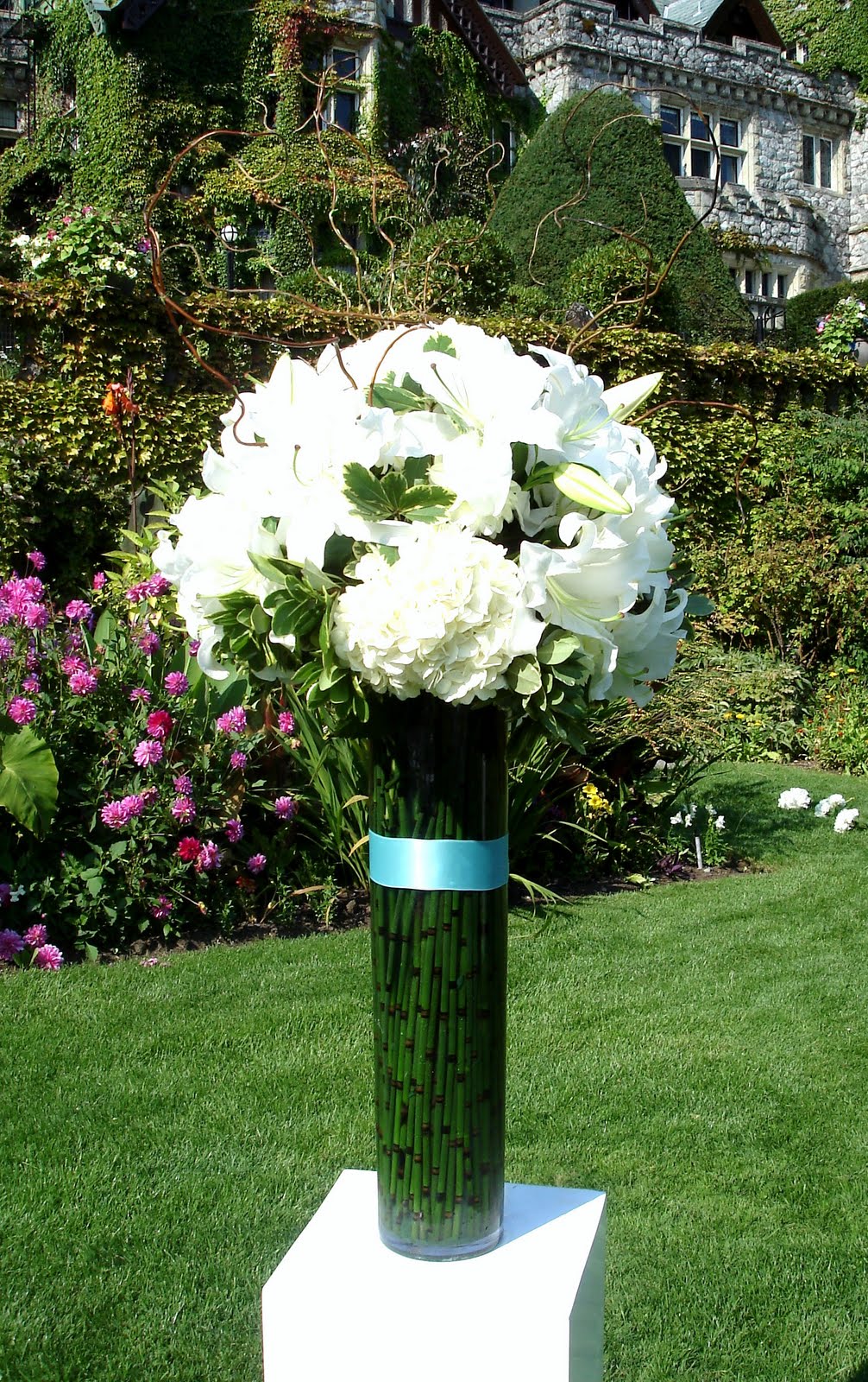 [Aug+30+2009+017.jpg]