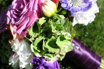 Kris+Bouquet p - Kris- August 8th 2010