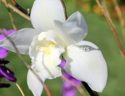 Aug+2010+198 p - Kirsten and James - August 22nd 2010