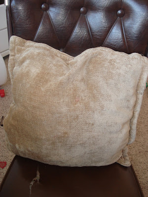gOt cHiKiN?: Ruffled Pillow