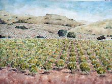 "Wine Country"