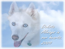 Run Free Sweet Dakota