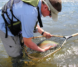 fish swim birds fly i drink 10