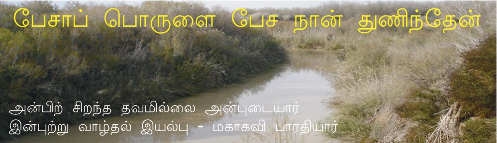 பேசாப் பொருளைப் பேச நான் துணிந்தேன்