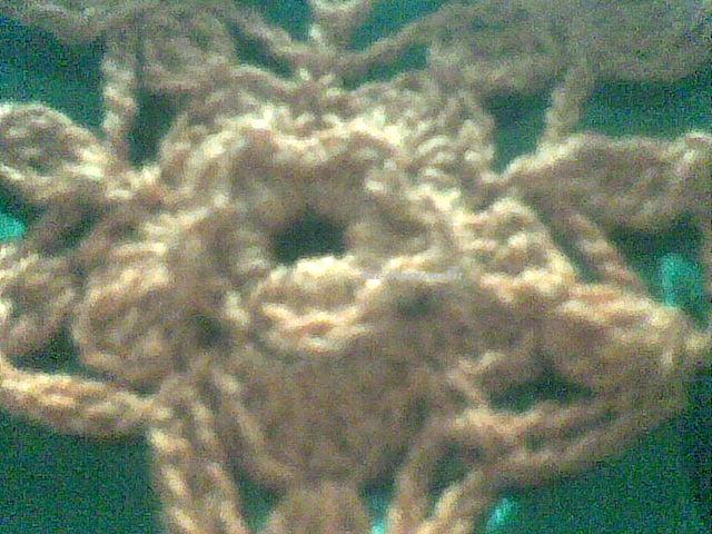 [Souvenir+4.3+wal-arteemcrochet.jpg]