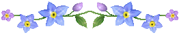 t9.gif