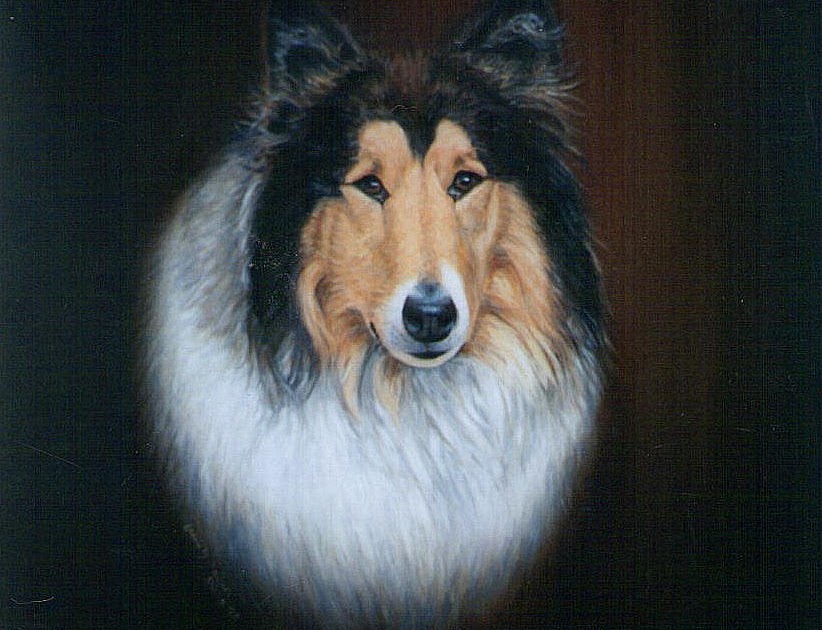 How To Get Oil Based Paint Out Of Dog Hair