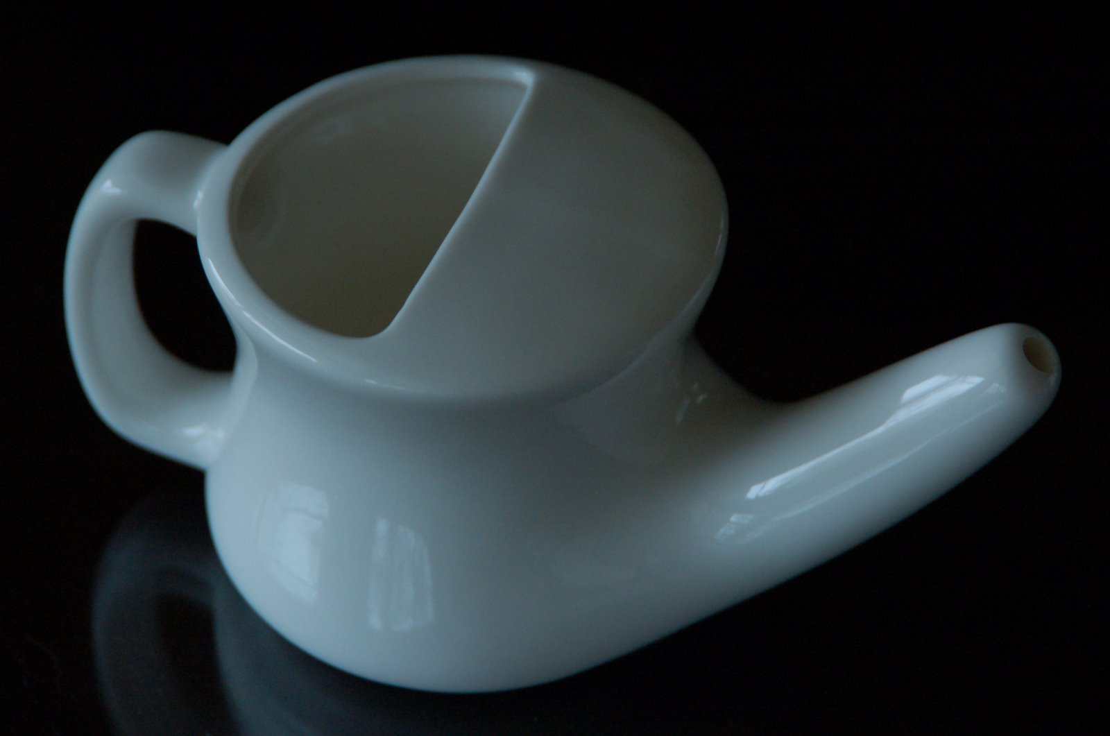 [2008+January+12+mold+omelette+neti+salba+026.jpg]