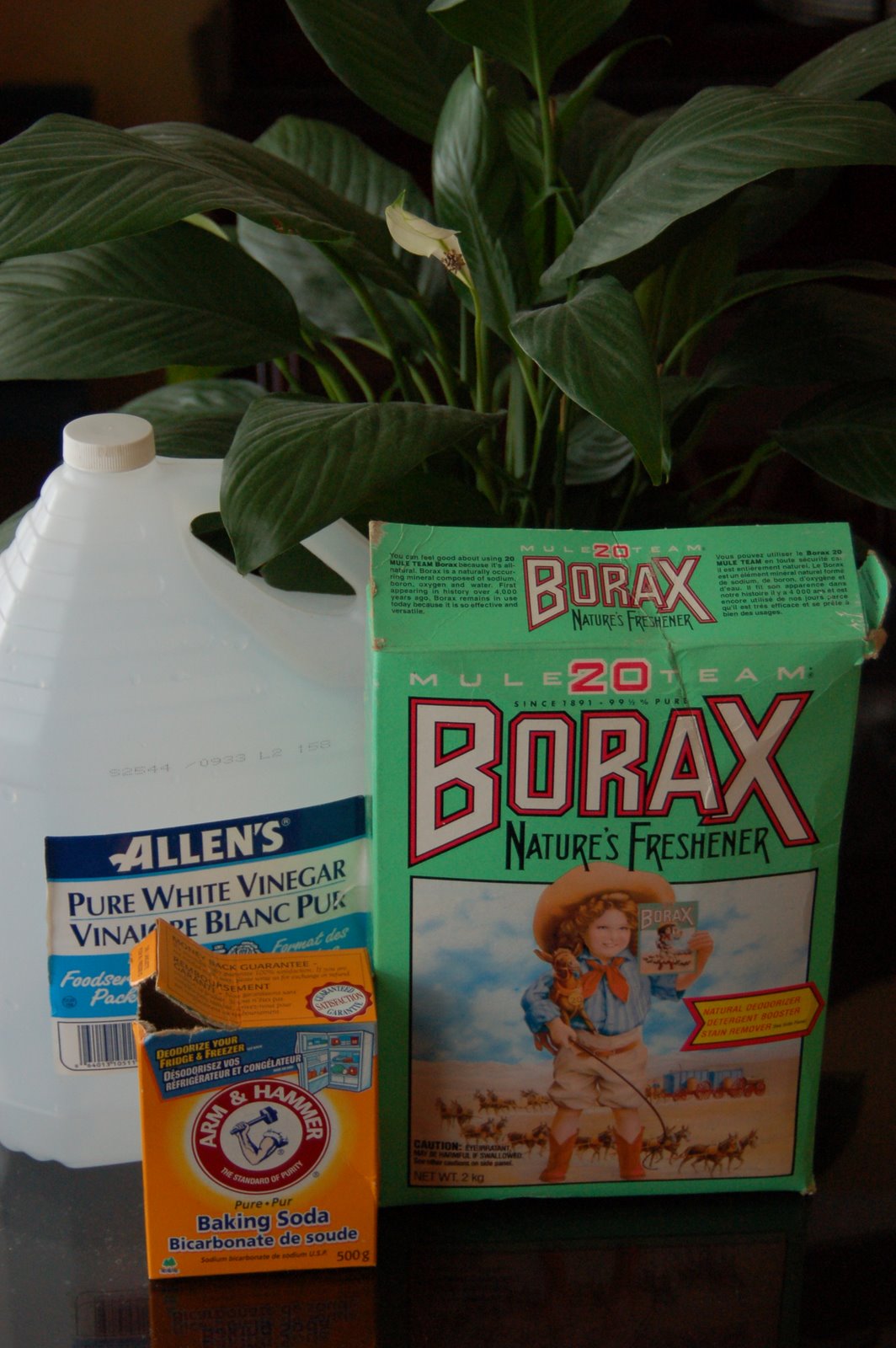 [2009+borax+vinegar+soda+003.jpg]