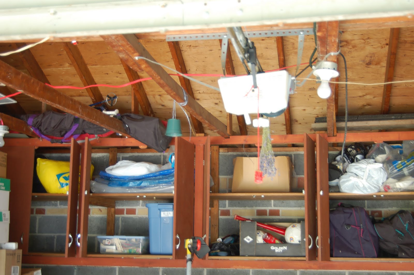 [2009+blogpix2+007.jpg]