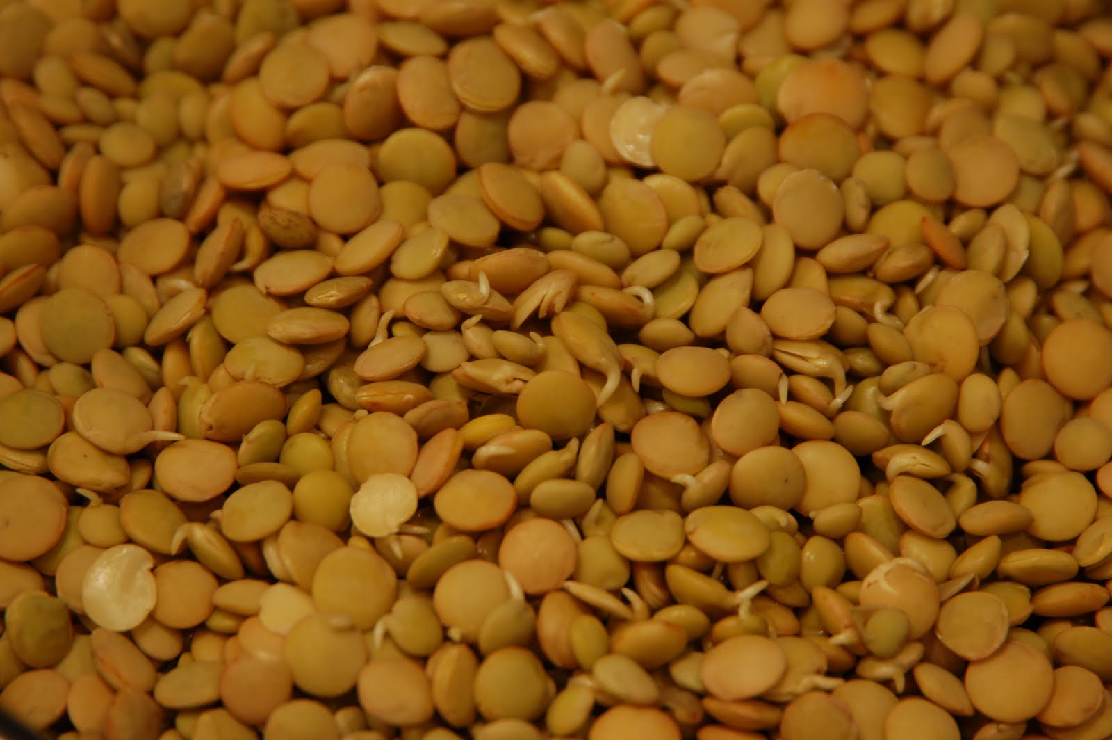 [2009+Summer+Swan+Camp+098.jpg]