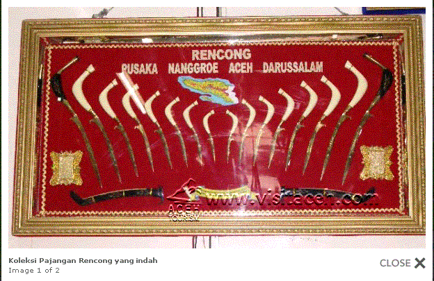 [Rincong+(4).GIF]