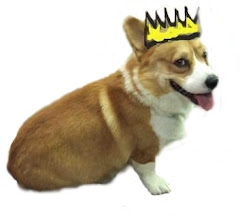 E-Learning Corgi (Queen) (call me Gizmo)