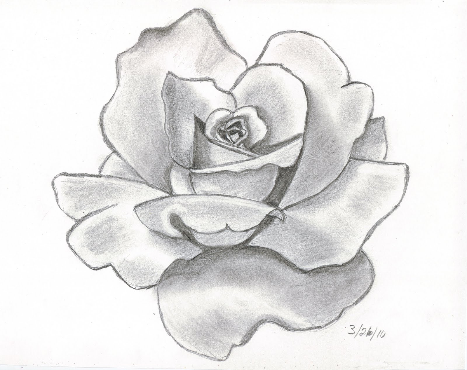 Sketches and Things Red Rose Pencil