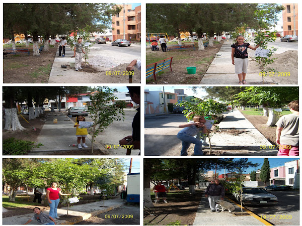 PLANTANDO MAS ARBOLITOS