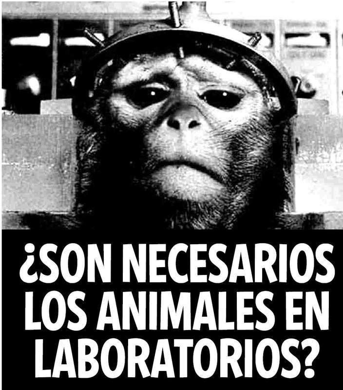 NO! A LOS EXPERIMENTOS CON ANIMALES!!!
